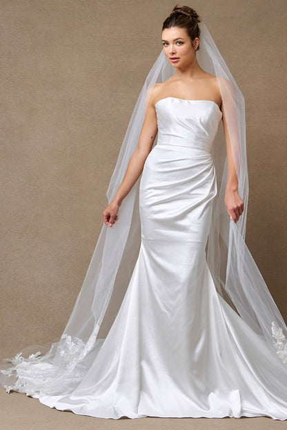 Chantilly Grace Cathedral Length Tulle Veil