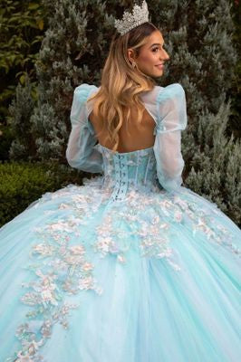 La Elsa Quince Ball Gown