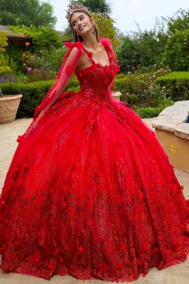 La Regalita Quince Ball Gown